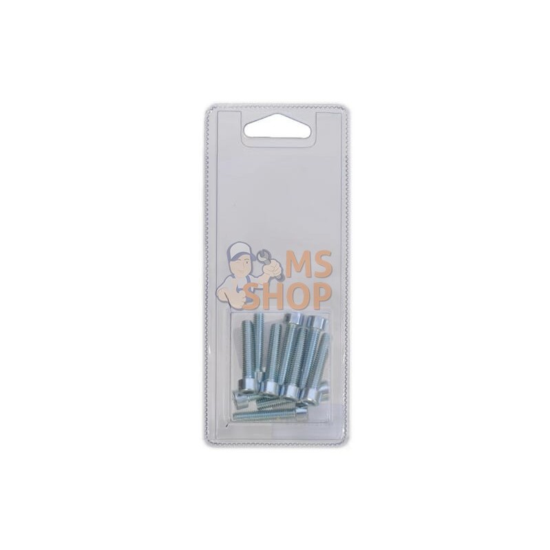Boulon à tête hexagonale M6x30 8.8 (10x) | FENDT BLISTER Boulon à tête hexagonale M6x30 8.8 (10x) | FENDT BLISTERPR#1087484 Boulon à tête hexagonale M6x30 8.8 (10x) | FENDT BLISTER Boulon à tête hexagonale M6x30 8.8 (10x) | FENDT BLISTERPR#1087484