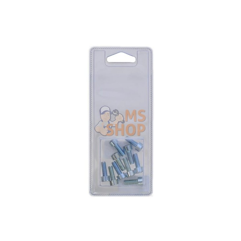 Boulon à tête hexagonale M6x16 8.8 (10x) | FENDT BLISTER Boulon à tête hexagonale M6x16 8.8 (10x) | FENDT BLISTERPR#1087505 Boulon à tête hexagonale M6x16 8.8 (10x) | FENDT BLISTER Boulon à tête hexagonale M6x16 8.8 (10x) | FENDT BLISTERPR#1087505