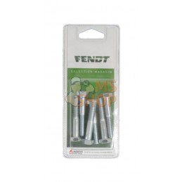 Vis hexagon M8x50 8.8 ZP (6x) | FENDT BLISTER Vis hexagon M8x50 8.8 ZP (6x) | FENDT BLISTERPR#1087688