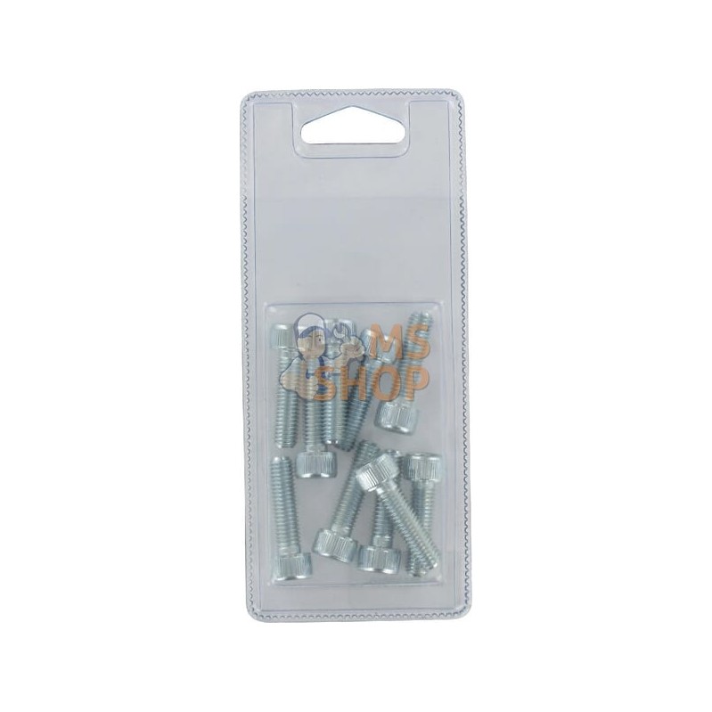 Boulon à tête hexagonale M8x30 8.8 (10x) | FENDT BLISTER Boulon à tête hexagonale M8x30 8.8 (10x) | FENDT BLISTERPR#1087691 Boulon à tête hexagonale M8x30 8.8 (10x) | FENDT BLISTER Boulon à tête hexagonale M8x30 8.8 (10x) | FENDT BLISTERPR#1087691