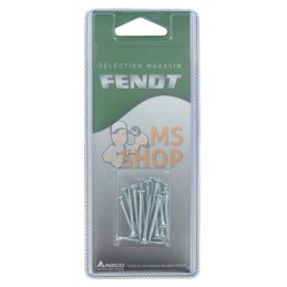 Vis p.pann.agglom. 3x30 (20x) | FENDT BLISTER Vis p.pann.agglom. 3x30 (20x) | FENDT BLISTERPR#1087903