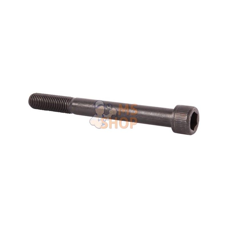 Vis à tête cylindrique 6 pans creux UNI 5931 M16x150 mm | CARRARO Vis à tête cylindrique 6 pans creux UNI 5931 M16x150 mm | CARR