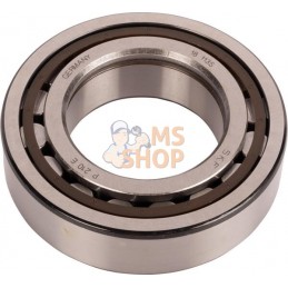 Roulements à rouleaux cylindriques | CARRARO Roulements à rouleaux cylindriques | CARRAROPR#1088126