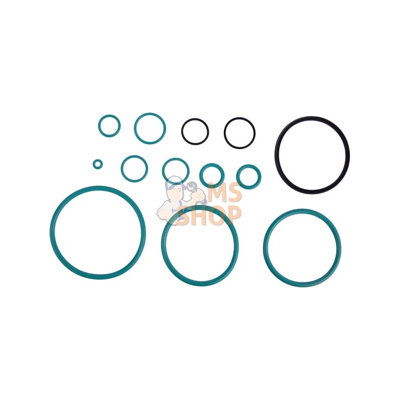 Repair kit | CARRARO Repair kit | CARRAROPR#1088217