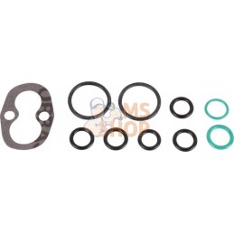 Kit de réparation | CARRARO Kit de réparation | CARRAROPR#1088260