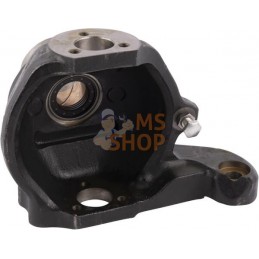 Kit de carter de pivot | CARRARO Kit de carter de pivot | CARRAROPR#1088265