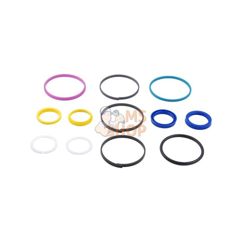 Vérin de direction, kit de joints | CARRARO Vérin de direction, kit de joints | CARRAROPR#1088268