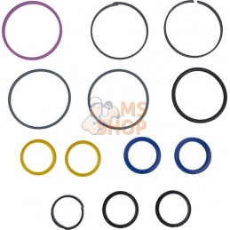 Repair kit | CARRARO Repair kit | CARRAROPR#1088273
