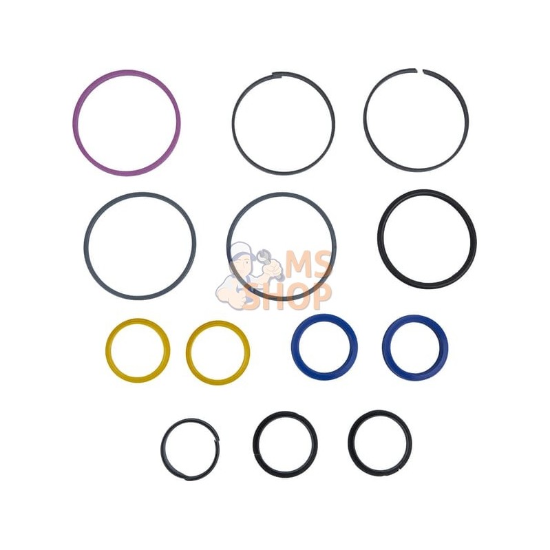 Repair kit | CARRARO Repair kit | CARRAROPR#1088273