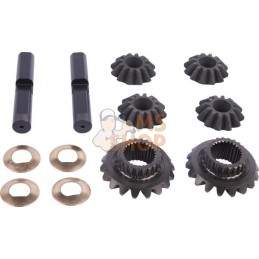 Satellite-planetary kit | CARRARO Satellite-planetary kit | CARRAROPR#1088302