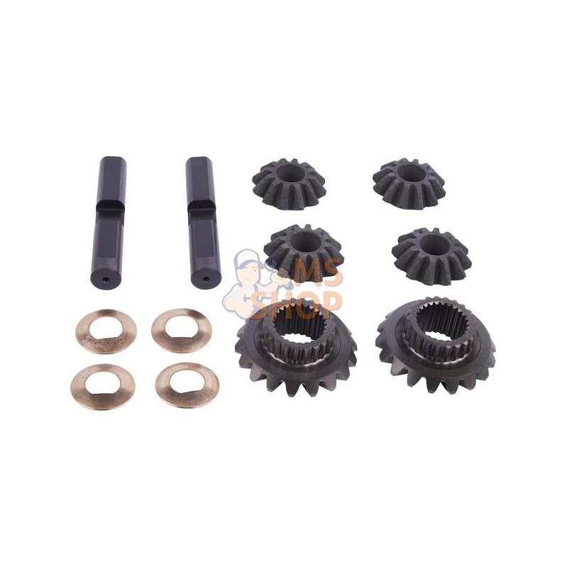 Satellite-planetary kit | CARRARO Satellite-planetary kit | CARRAROPR#1088302
