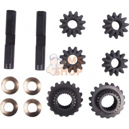 Satellite-planetary kit | CARRARO Satellite-planetary kit | CARRAROPR#1088302