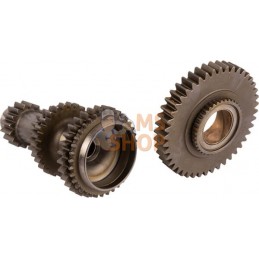 Primary axis | CARRARO Primary axis | CARRAROPR#1088322
