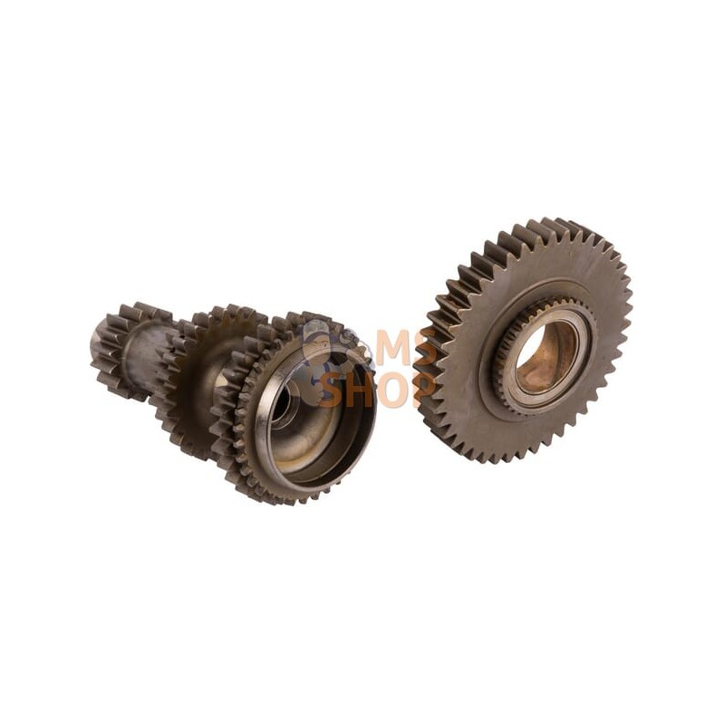 Primary axis | CARRARO Primary axis | CARRAROPR#1088322