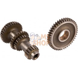 Primary axis | CARRARO Primary axis | CARRAROPR#1088322