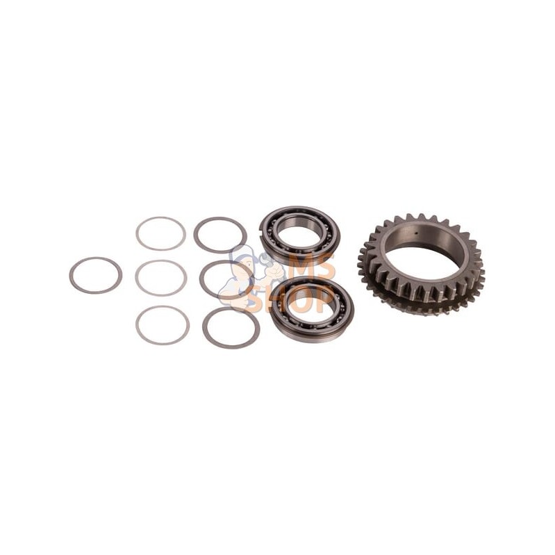 Gear | CARRARO Gear | CARRAROPR#1088324