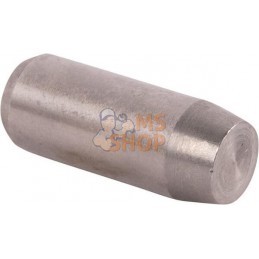 Goupille | CARRARO Goupille | CARRAROPR#1088342