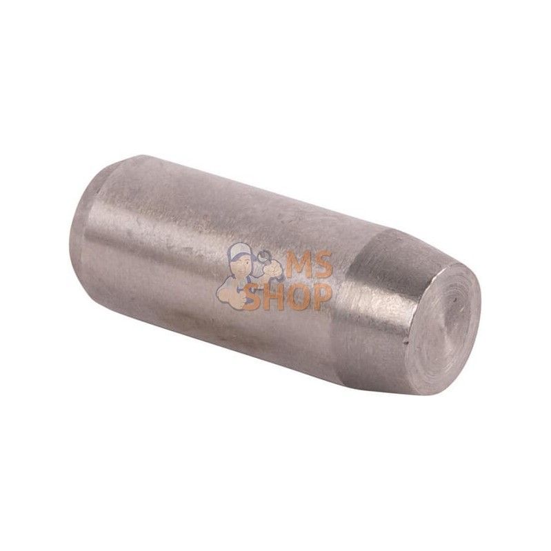 Goupille | CARRARO Goupille | CARRAROPR#1088342