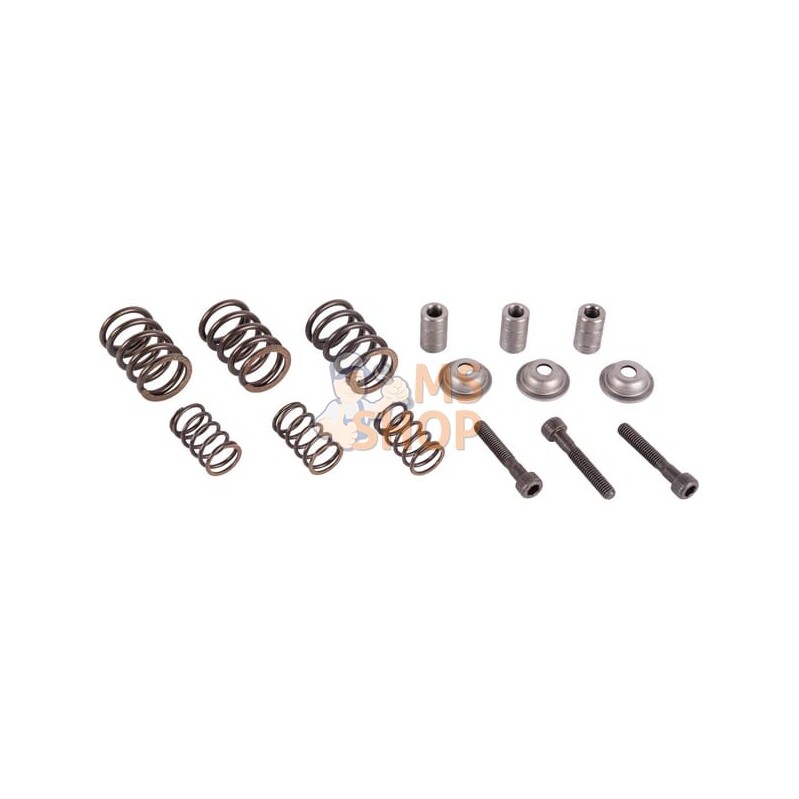 Kit de vis | CARRARO Kit de vis | CARRAROPR#1088344