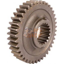 Pignon Z=40 | CARRARO Pignon Z=40 | CARRAROPR#1088448