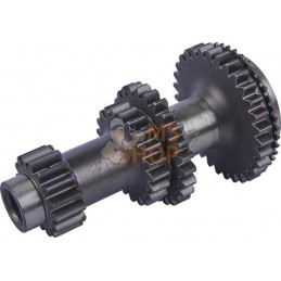 Primary axis | CARRARO Primary axis | CARRAROPR#1088453