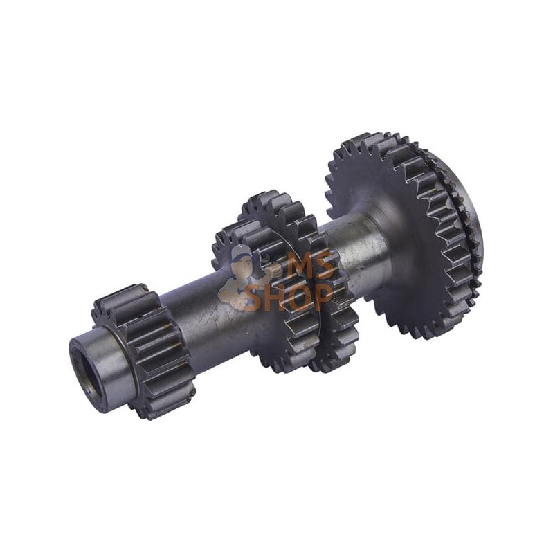 Primary axis | CARRARO Primary axis | CARRAROPR#1088453