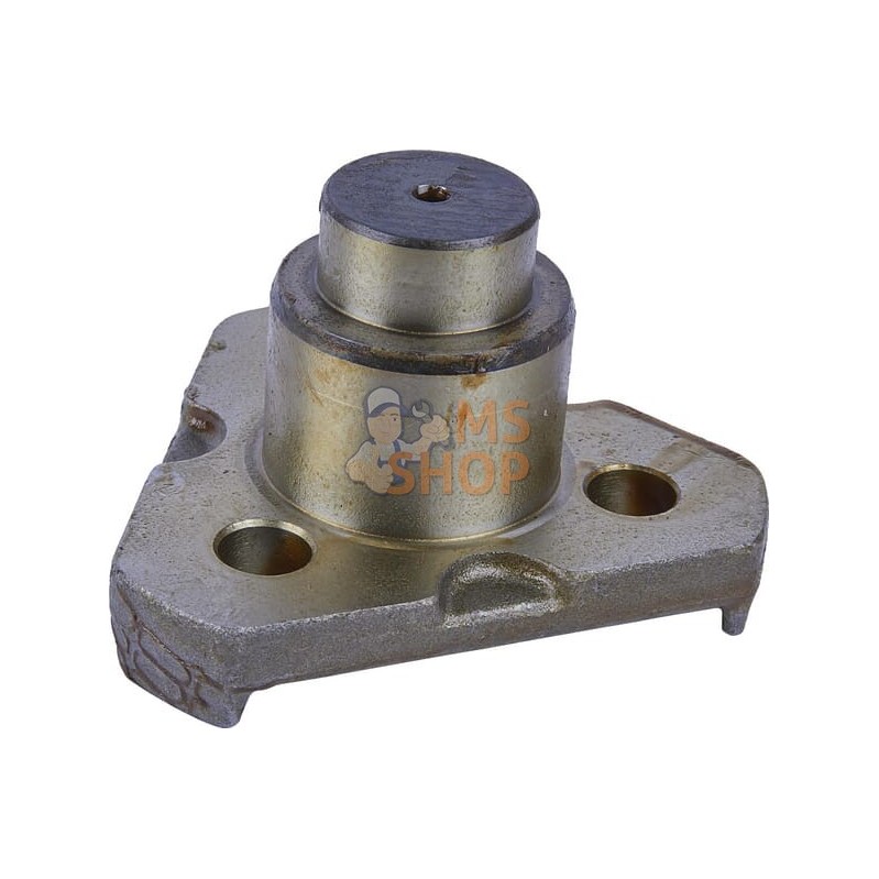 Stub axle pivot | CARRARO Stub axle pivot | CARRAROPR#1088484