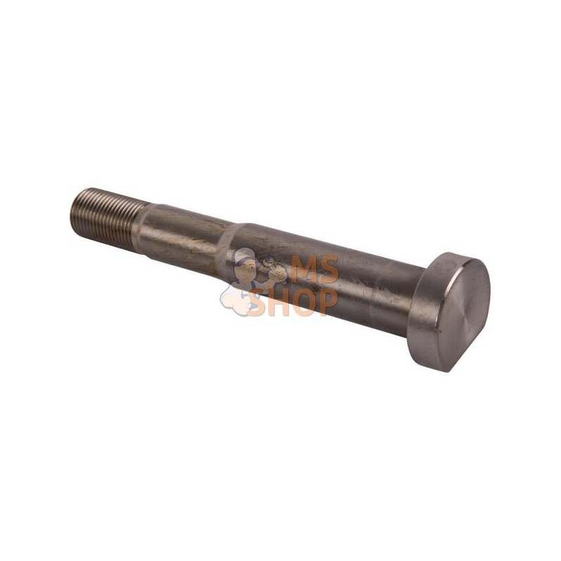 Goupille | CARRARO Goupille | CARRAROPR#1088485