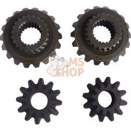 Satellite-planetary kit | CARRARO Satellite-planetary kit | CARRAROPR#1088597