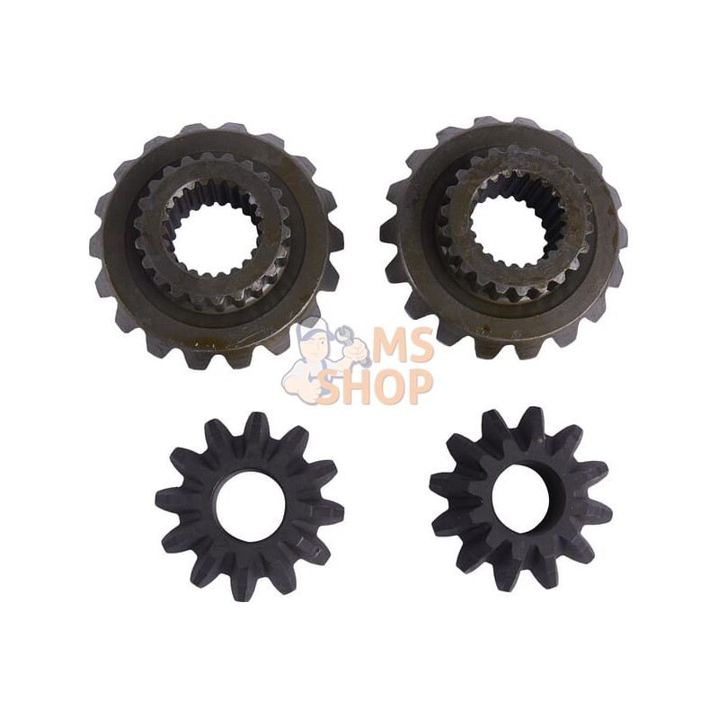 Satellite-planetary kit | CARRARO Satellite-planetary kit | CARRAROPR#1088597