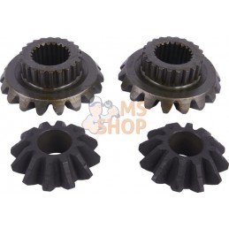 Satellite-planetary kit | CARRARO Satellite-planetary kit | CARRAROPR#1088597