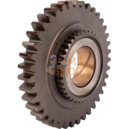 Pignon Z=39 | CARRARO Pignon Z=39 | CARRAROPR#1088657