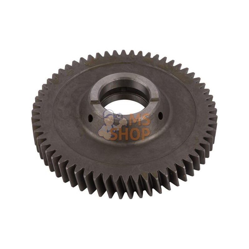 Gear | CARRARO Gear | CARRAROPR#1088665