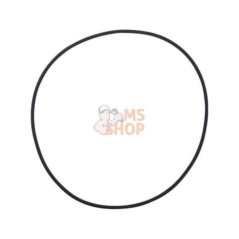 O-ring | CARRARO O-ring | CARRAROPR#1088692