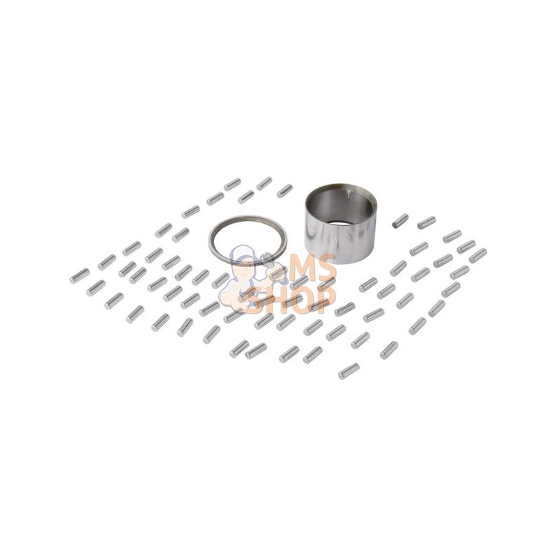 Roulements | CARRARO Roulements | CARRAROPR#1088743