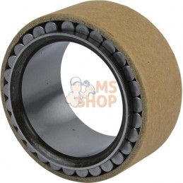 Bearing | CARRARO Bearing | CARRAROPR#1088850