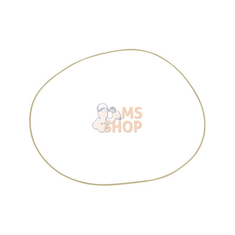 Joint torique 194x2 mm FPM70 | CARRARO Joint torique 194x2 mm FPM70 | CARRAROPR#1088854