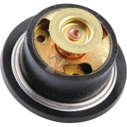 Thermostat | CLAAS Thermostat | CLAASPR#1088885