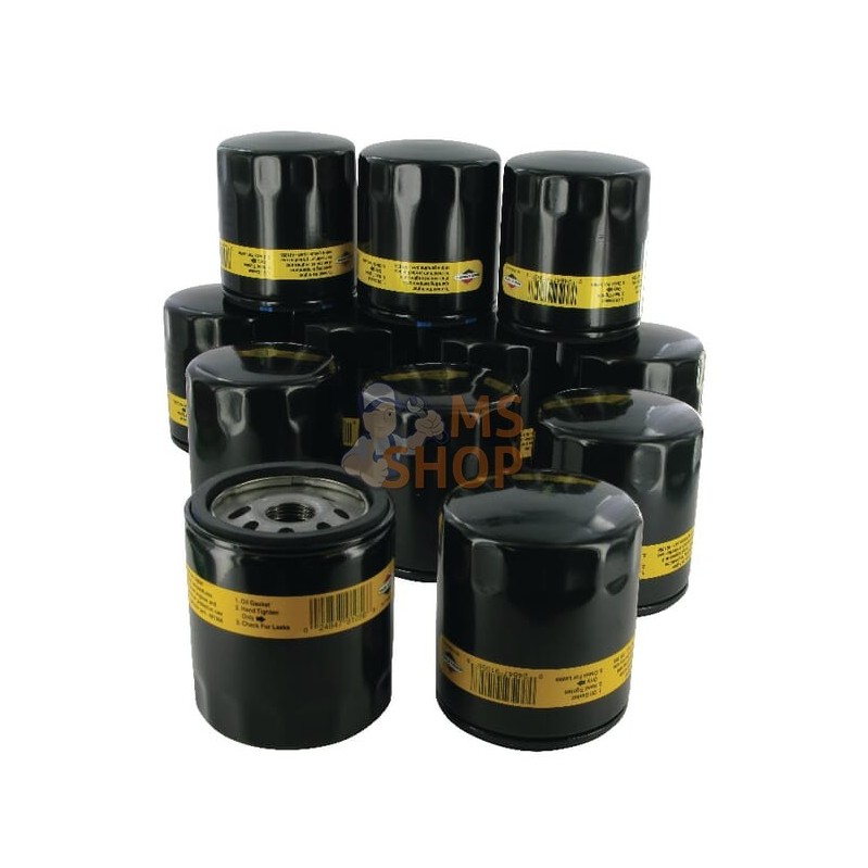 Filtres à huile 12 x 491056 | BRIGGS & STRATTON | BRIGGS & STRATTON Filtres à huile 12 x 491056 | BRIGGS & STRATTON | BRIGGS & S Filtres à huile 12 x 491056 | BRIGGS & STRATTON | BRIGGS & STRATTON Filtres à huile 12 x 491056 | BRIGGS & STRATTON | BRIGGS & S