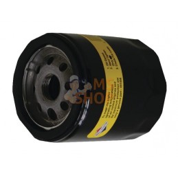 Filtres à huile 12 x 491056 | BRIGGS & STRATTON | BRIGGS & STRATTON Filtres à huile 12 x 491056 | BRIGGS & STRATTON | BRIGGS & S