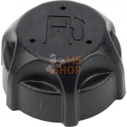 Bouchon de réservoir 5x497929 | BRIGGS & STRATTON | BRIGGS & STRATTON Bouchon de réservoir 5x497929 | BRIGGS & STRATTON | BRIGGS