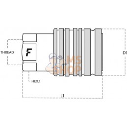 Coupleur femelle PV 1/2 BSP | FASTER Coupleur femelle PV 1/2 BSP | FASTERPR#781584