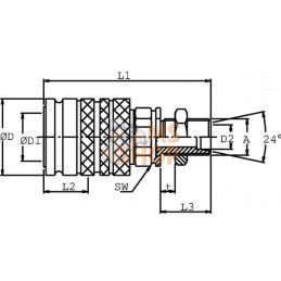 Coupleur femelle 1/2-M22x1,5 | DNP Coupleur femelle 1/2-M22x1,5 | DNPPR#780508