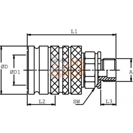 Coupleur femelle 1/2-1/2 BSP | DNP Coupleur femelle 1/2-1/2 BSP | DNPPR#780517