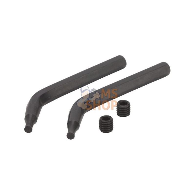 Jeu 2 embouts pince circlips | FACOM Jeu 2 embouts pince circlips | FACOMPR#538748 Jeu 2 embouts pince circlips | FACOM Jeu 2 embouts pince circlips | FACOMPR#538748