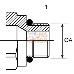 Coupleur femelle 1/2-M22x1.5-15L | FASTER | FASTER Coupleur femelle 1/2-M22x1.5-15L | FASTER | FASTERPR#781323