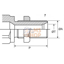 Coupleur femelle 1/2-M22x1.5-15L | FASTER | FASTER Coupleur femelle 1/2-M22x1.5-15L | FASTER | FASTERPR#781323