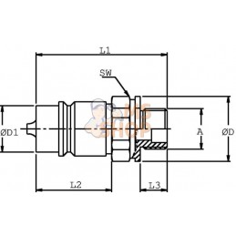 Coupleur mâle 1/2-1/2" BSP | DNP Coupleur mâle 1/2-1/2" BSP | DNPPR#780583