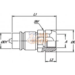 Coupleur mâle 1/2-3/8" BSP | DNP Coupleur mâle 1/2-3/8" BSP | DNPPR#780607