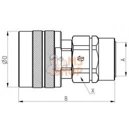 Coupleur à visser fem 3/8 BSP | FASTER Coupleur à visser fem 3/8 BSP | FASTERPR#781346